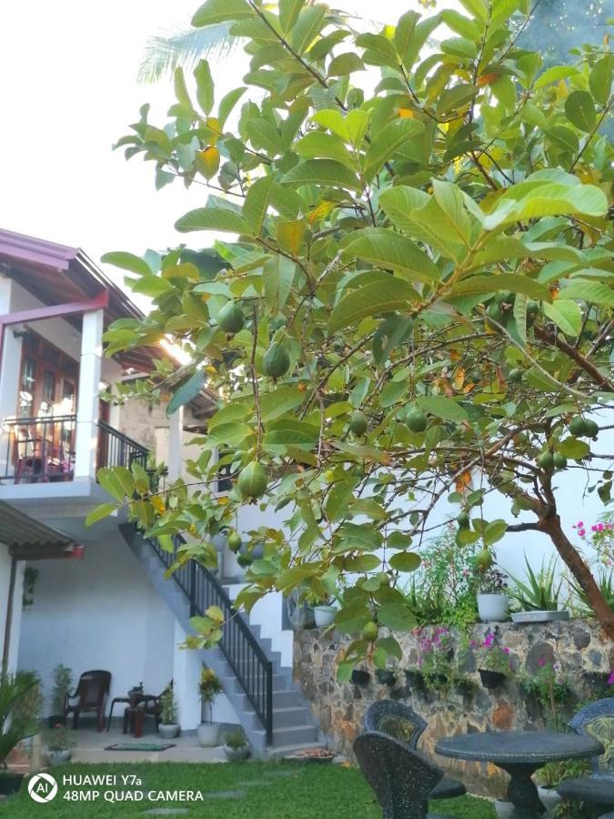 Villa Wismar Hikkaduwa Esterno foto