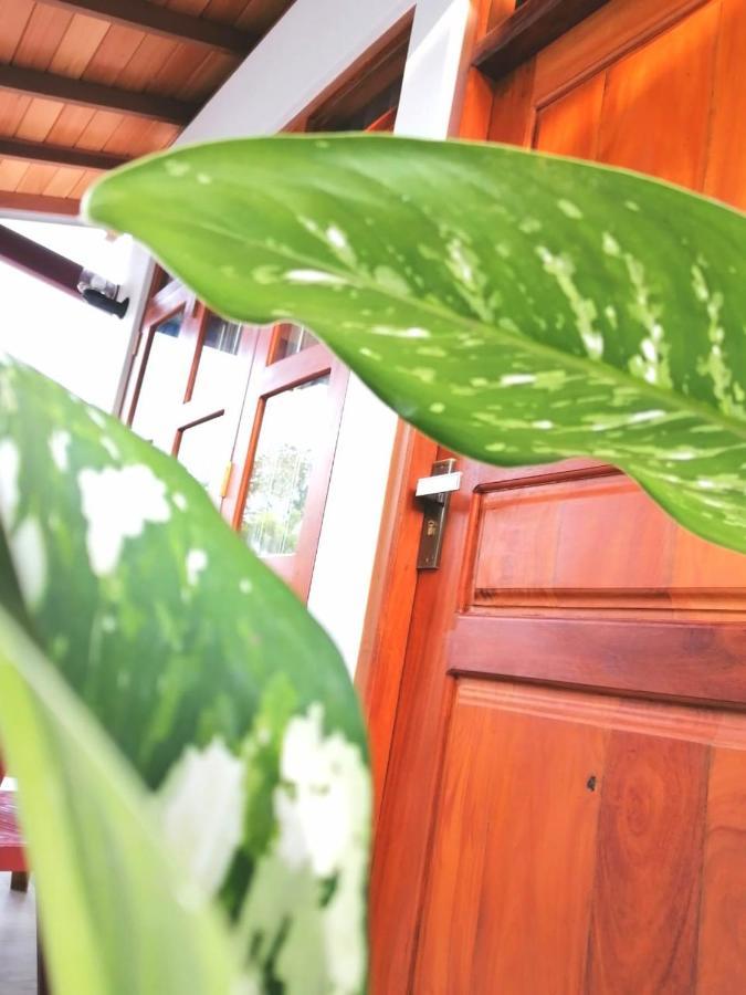 Villa Wismar Hikkaduwa Esterno foto
